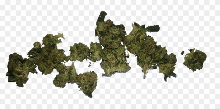 Transparent Background Weed Png Clipart