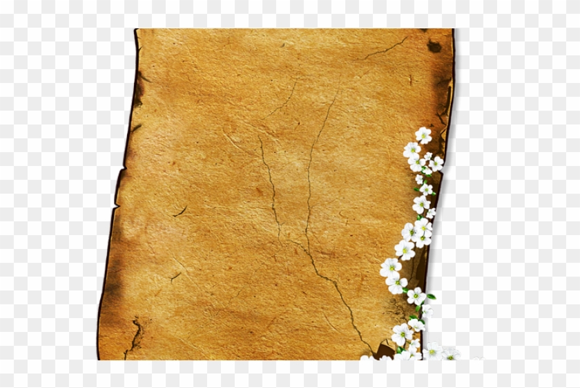 Old Paper Scroll - Paper Clipart