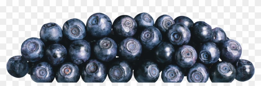 Blueberries Png Image - Bilberry Clipart