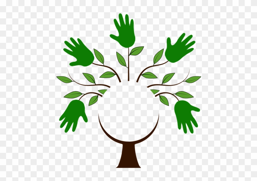 Tree Logo Png Clipart