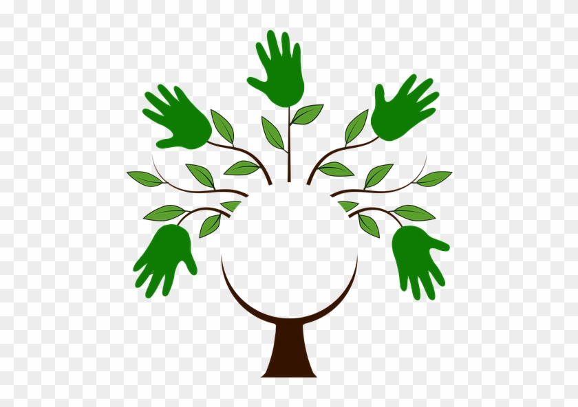 Tree Logo Png Clipart #439422