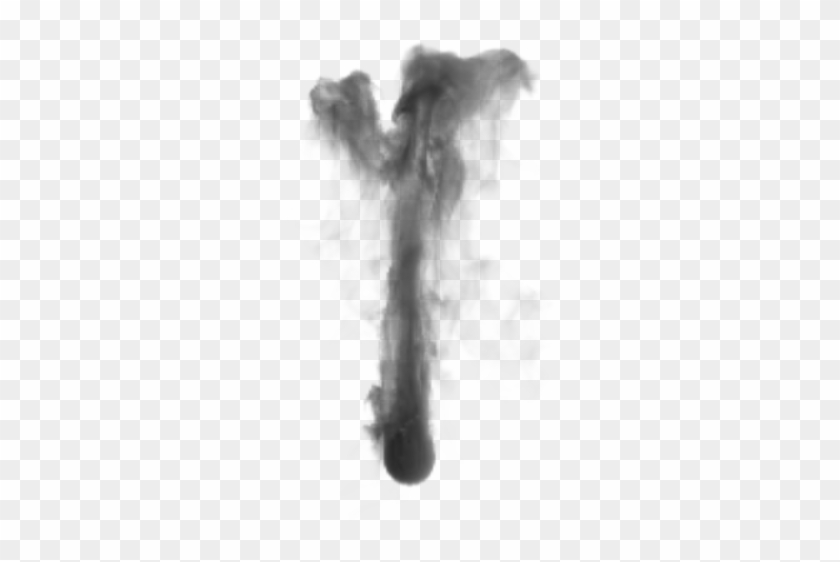Smoke Png Image, Free Download Picture, Smokes - Sketch Clipart