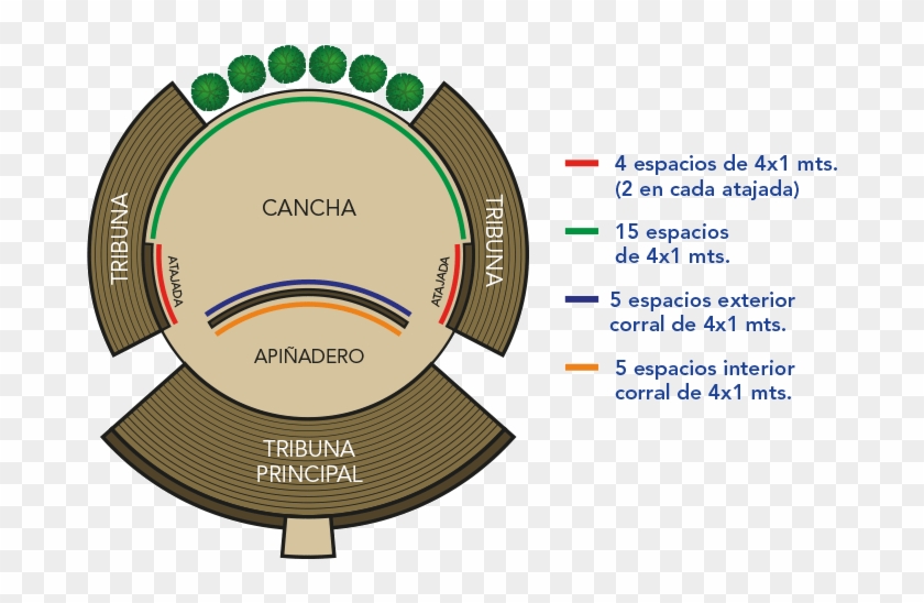 En La Media Luna - Circle Clipart