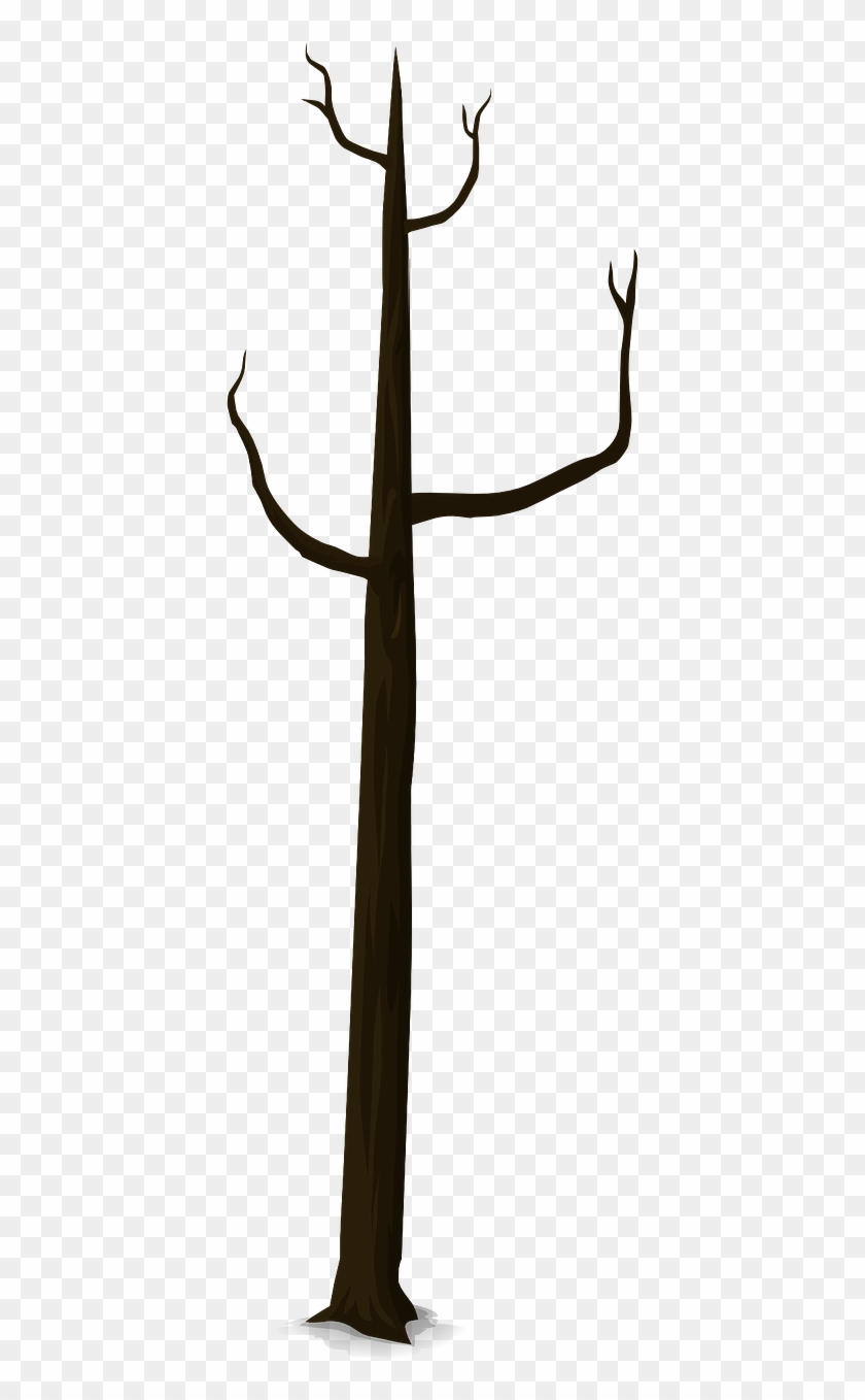 Batang Pohon Png Clipart #4300016