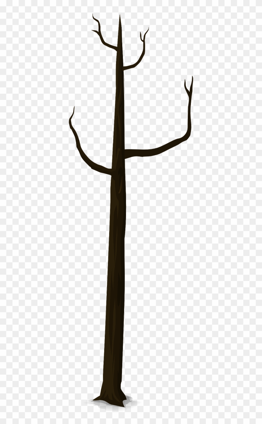 Batang Pohon Png Clipart