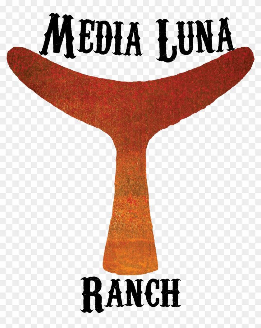 Media Partner Clipart #4300182