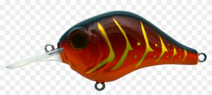 6mr587 Rayburn Red Craw - Insect Clipart #4304005