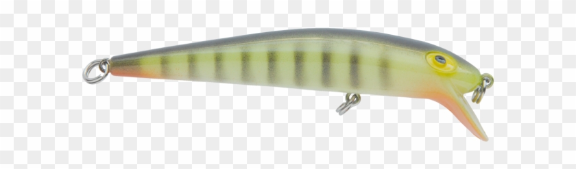 Bait Fish Clipart #4304380