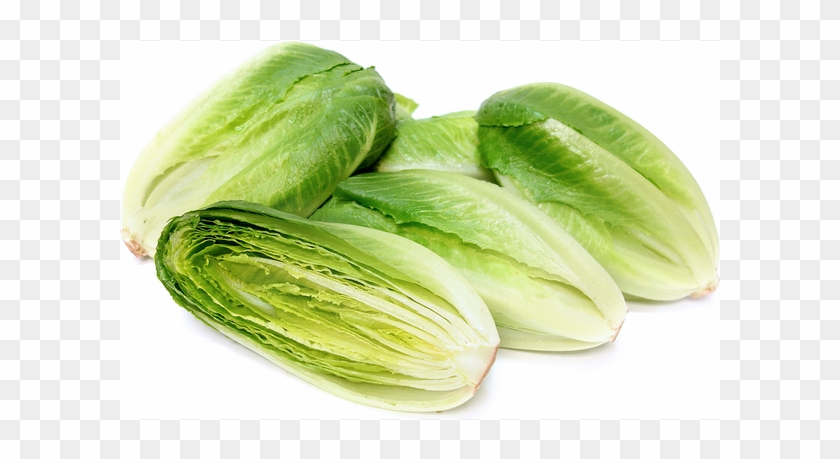 O Organics Organic Salad Baby Romaine - Baby Romaine Salad Clipart #4305100