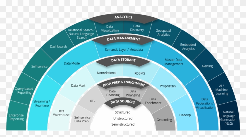 What Are Your Analytics Needs - Circle Clipart