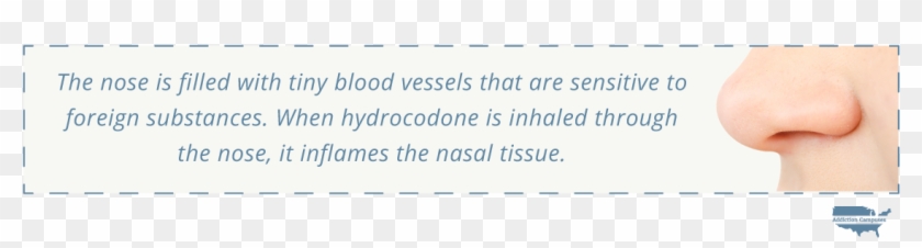 Com The Dangers Of Snorting Hydrocodone - Display Device Clipart