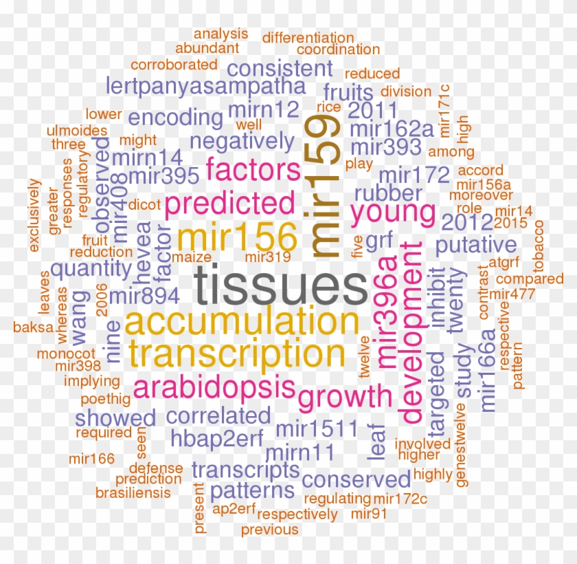 Stem Loop Sequence Hbr Mir396b - Matthew Pearce Clipart #4309862