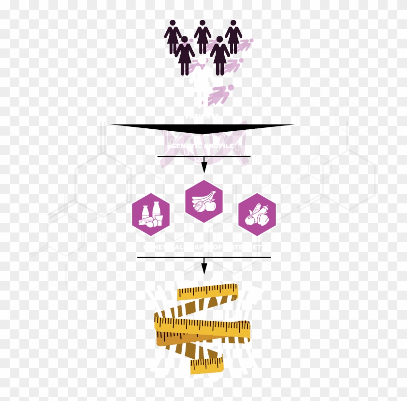 What Is Healthy Woman Diagram - Graphic Design Clipart