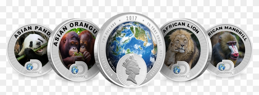 Discovery Channel Silver Coins - Discovery Channel Clipart