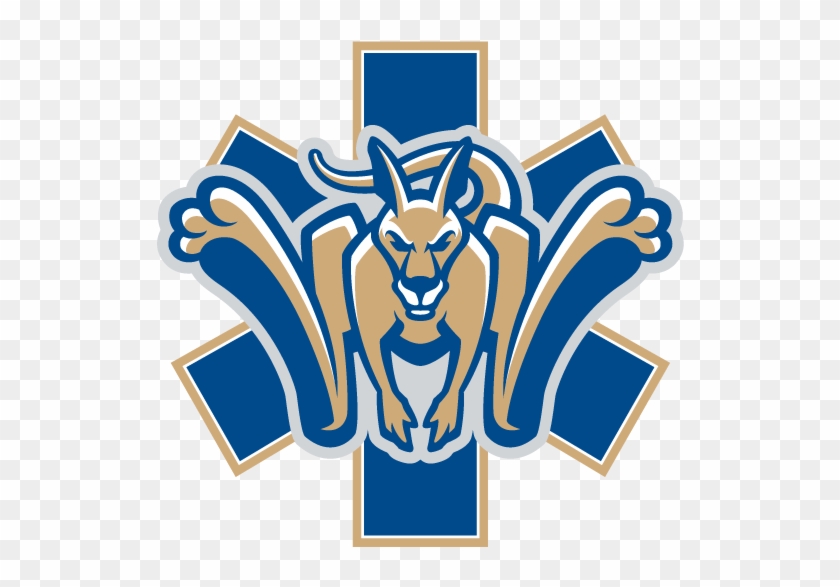 Suny Canton Ems - Suny Canton Logo Clipart #4314672