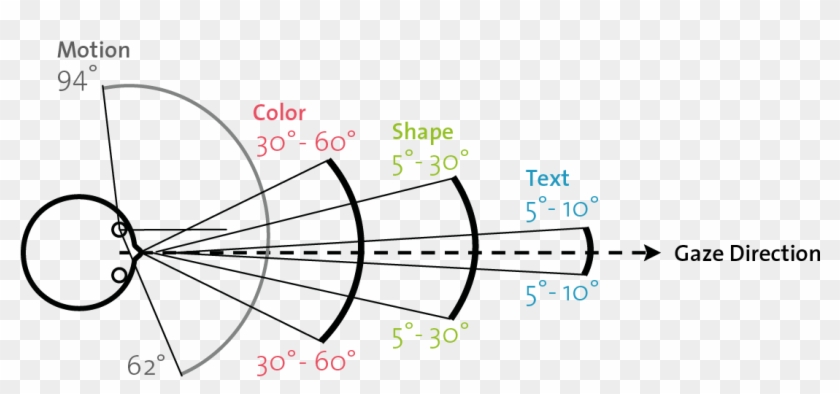 Visual Perception Human Fov - Plot Clipart