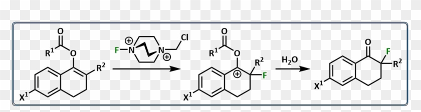 Susie's Paper On The Mechanism Of The Fluorination - Pyridine Natural Products Clipart
