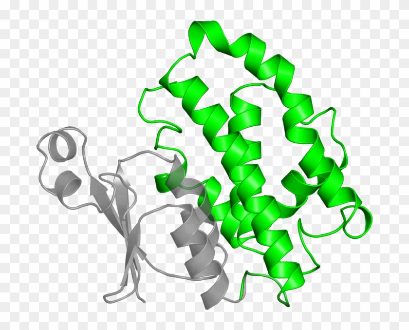 <div Class='caption-body'>1 Copy Of Scop Domain < - Illustration Clipart