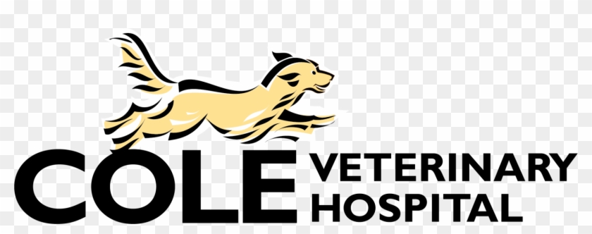 Cole Veterinary Hospital Spring, Texas - Canaan Dog Clipart