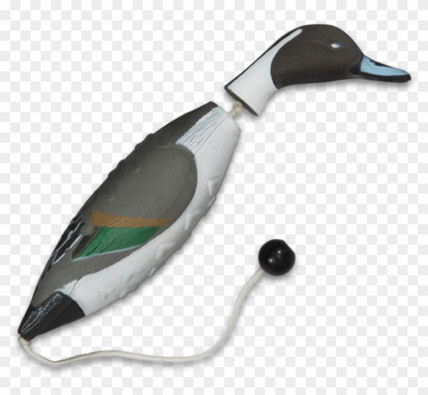 Image Of The Asd Pintail Ez Bird Training Dummy - Mallard Clipart