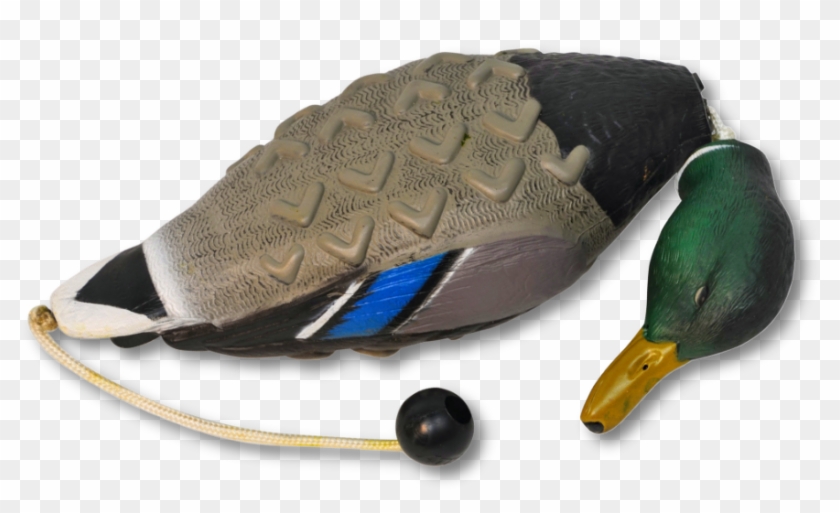 Image Of The Avery Sporting Dog Mallard Training Dummy - Coin Purse Clipart #4321808