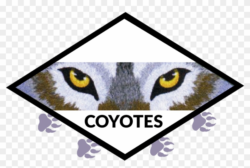 Cat Clipart #4323682