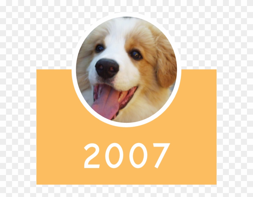 2007 Icon - Companion Dog Clipart #4324111