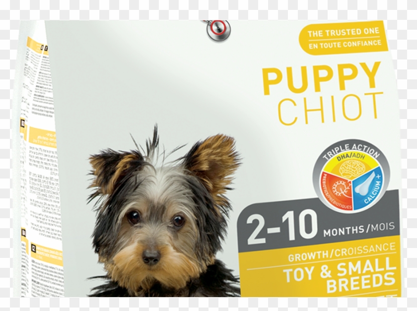 1st Choice Dog Food Clipart #4324411