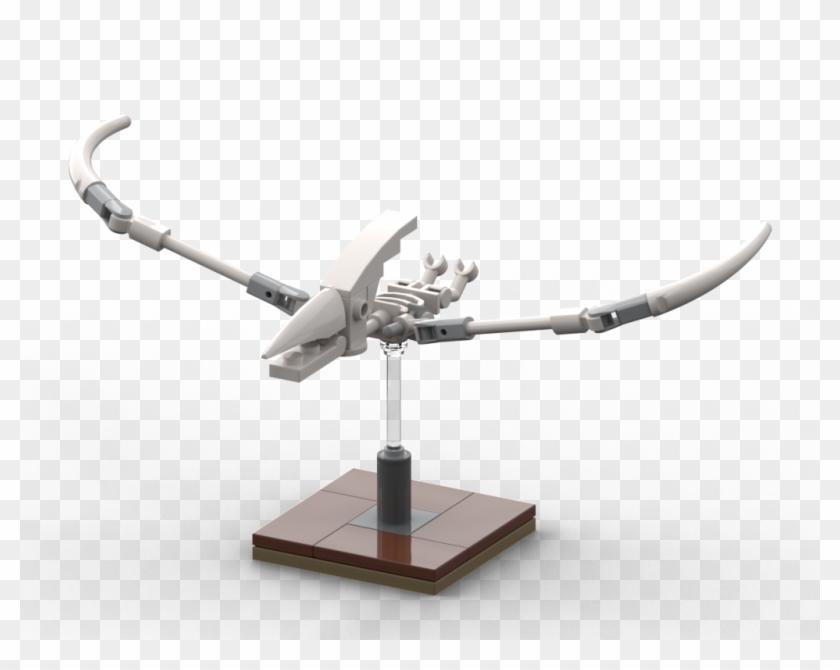 Fossil Pteranodon3 - Scale Model Clipart #4327052