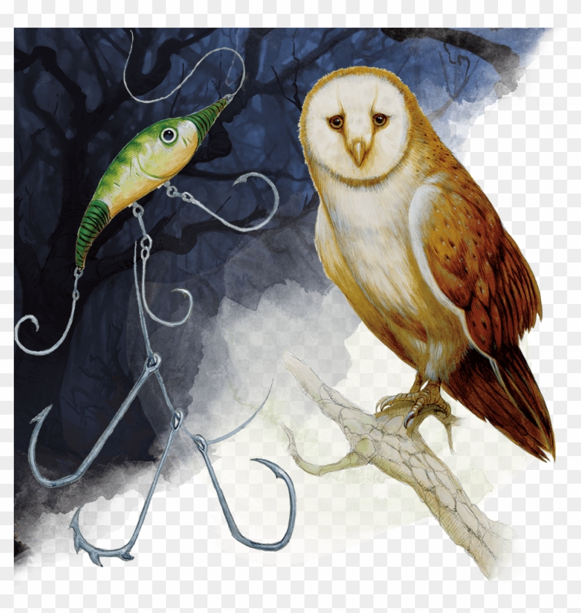 Dnd Owl Clipart