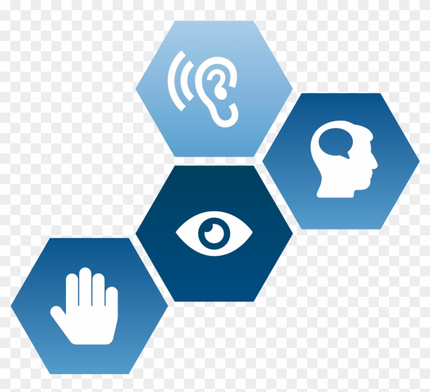 Galma Has One Ramón Y Cajal Researcher And 9 Phd Students - Digital Product Creation Process Clipart