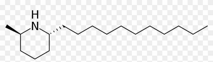 Solenopsin Clipart #4328885