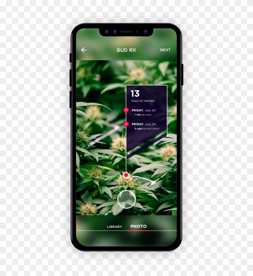 Snaphash Clipart #4329708