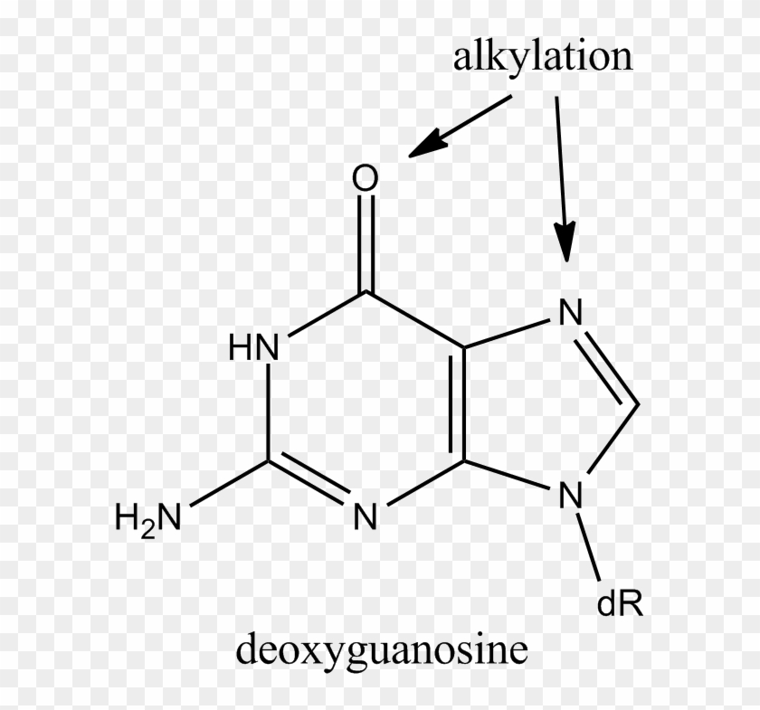 Alkylation Guanine - Alkylation Of N7 Guanine Clipart #4330015