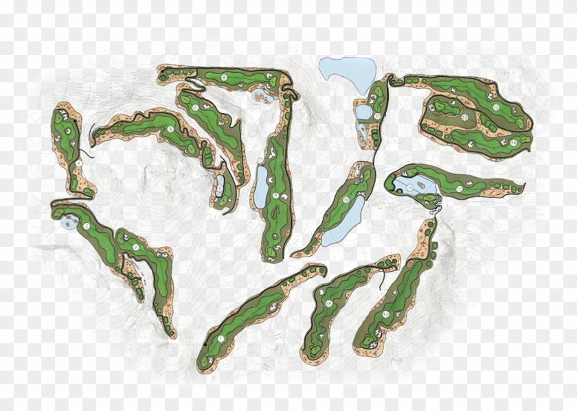 Explore The Course - Tree Clipart