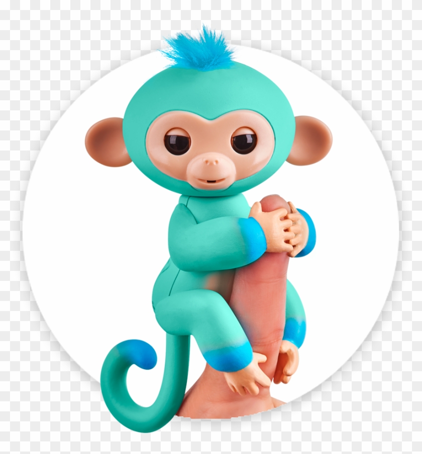 Fingerlings Monkey 2tone Ombre Eddie - Monkey Baby Fingerlings Eddie Clipart #4331986