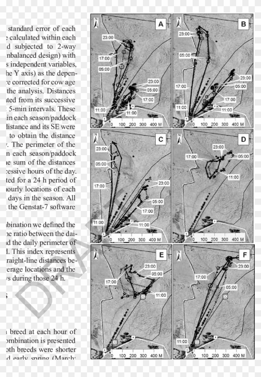 Daily Routes Of Beefmaster × Simford Cross And Baladi Clipart #4333149