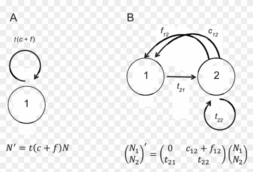 Life-cycle Graph And Population Size Recursions For - Graphic Design Clipart