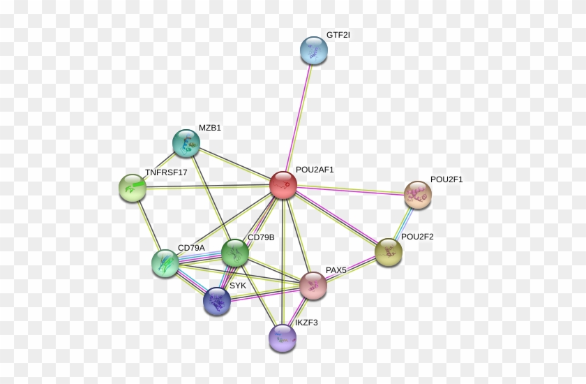 Network - Circle Clipart #4337119