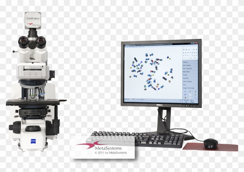 Karyotyping - Computer Monitor Clipart