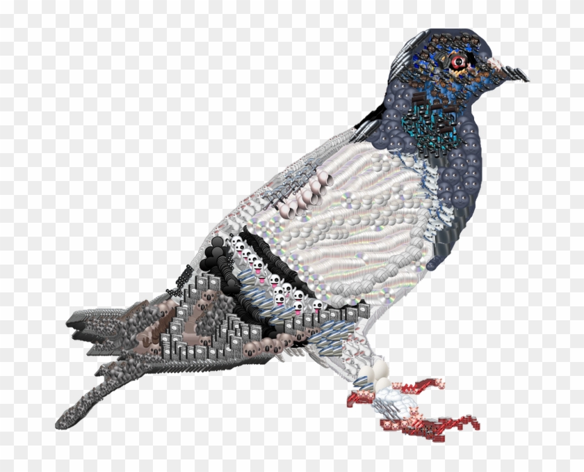 Haeinous - Rock Dove Clipart #4338224