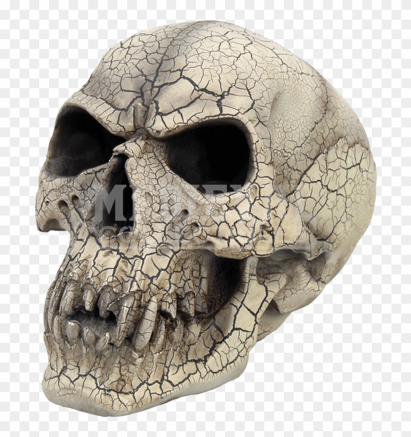 The Witcher 1 Cracked - Skull Clipart #4338839