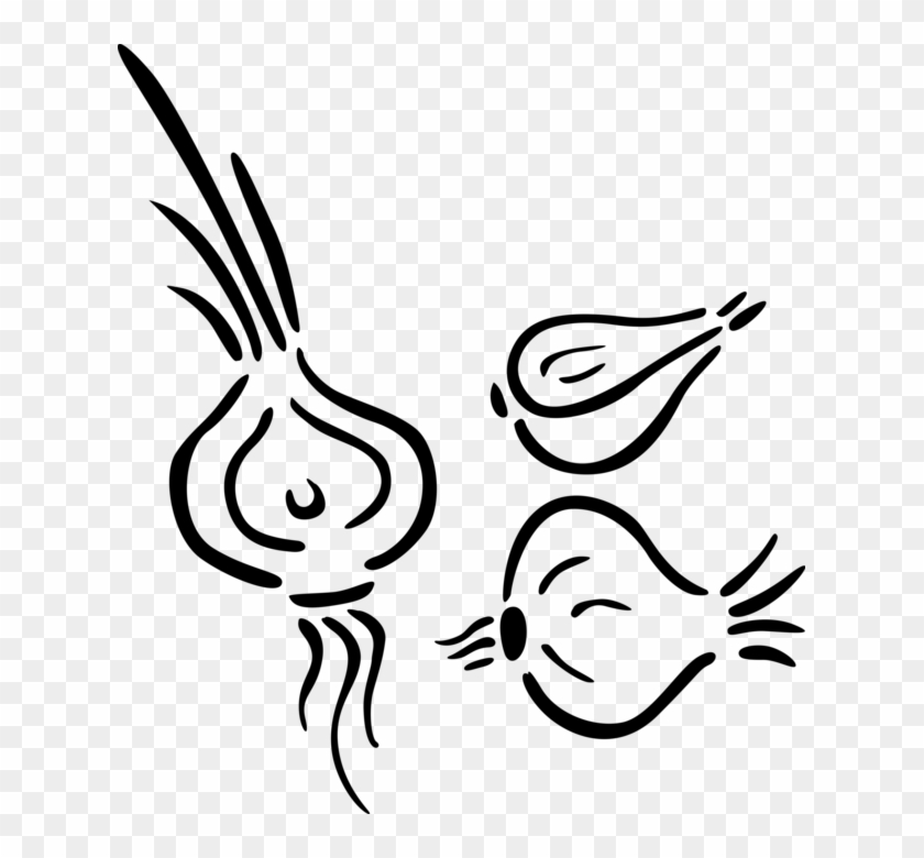 Vector Illustration Of Navigational Compass Rose North, - Illustration Clipart