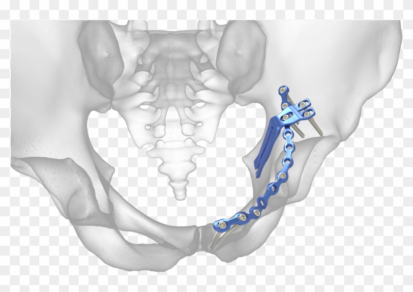 Image Gallery Clipart