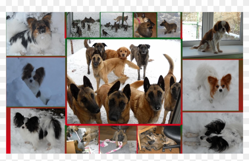 Fuuuu Meme Png Clipart