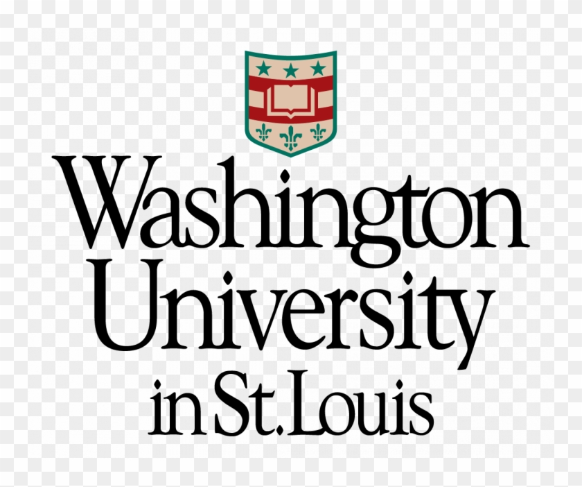 Download Logo Set - Wash U St Louis Logo Clipart #4341862