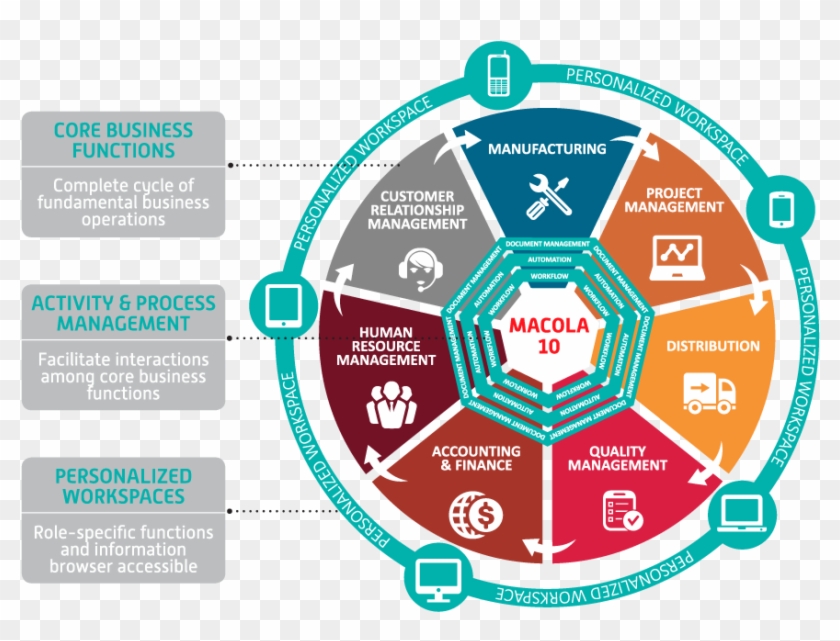 Macola - Macola 10 Clipart #4342769