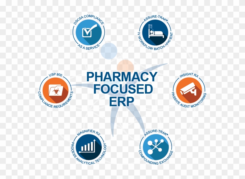 Circle Clipart #4343630