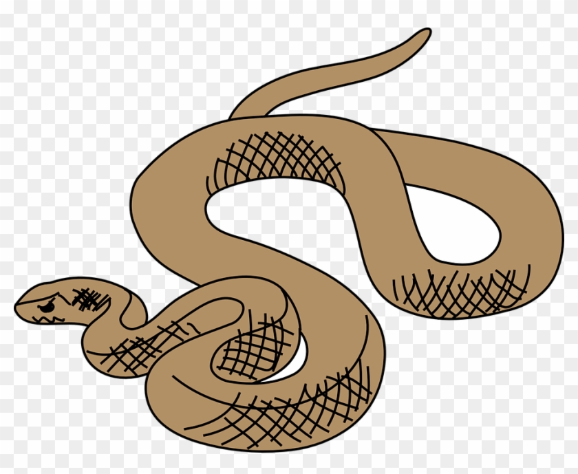 Brown Tree Snake Clip Art - Png Download #4344812