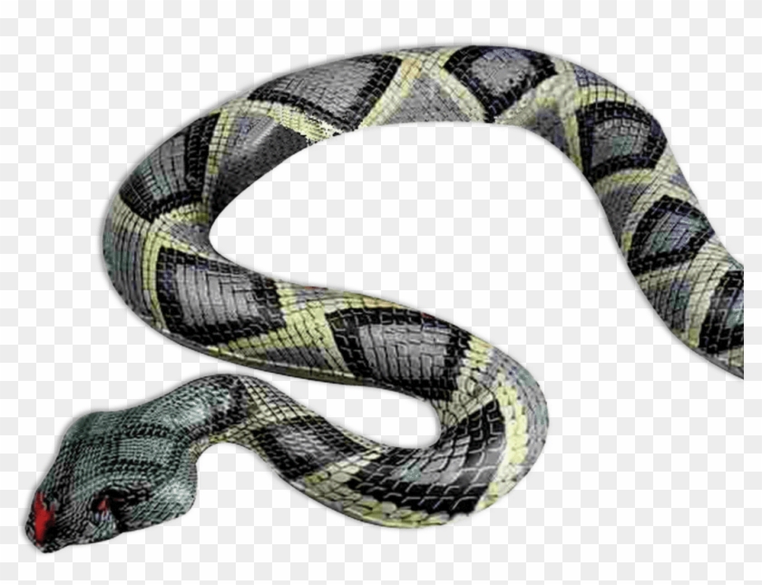 Inflatable Snake Clipart #4345049